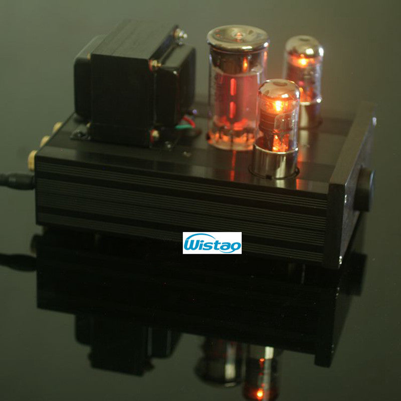 IWISTAO 1pc Mono Tube Amplifier FU50 Power Stage Class A Signal-ended ...