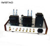 IWISTAO 하이파이 튜브 헤드폰 앰프 1W 32-600Ω 및 튜브 앰프 2x4W 6N2 드라이브 FM30 금속 케이스
