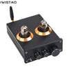 IWISTAO 6J5 Vacuum Tube Tone Preamplifier NE5532 QCC3034 Bluetooth 5.0 APTX Black/White Panel HIFI Audio
